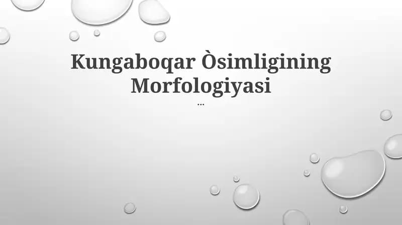 Kungaboqar Òsimligining Morfologiyasi
