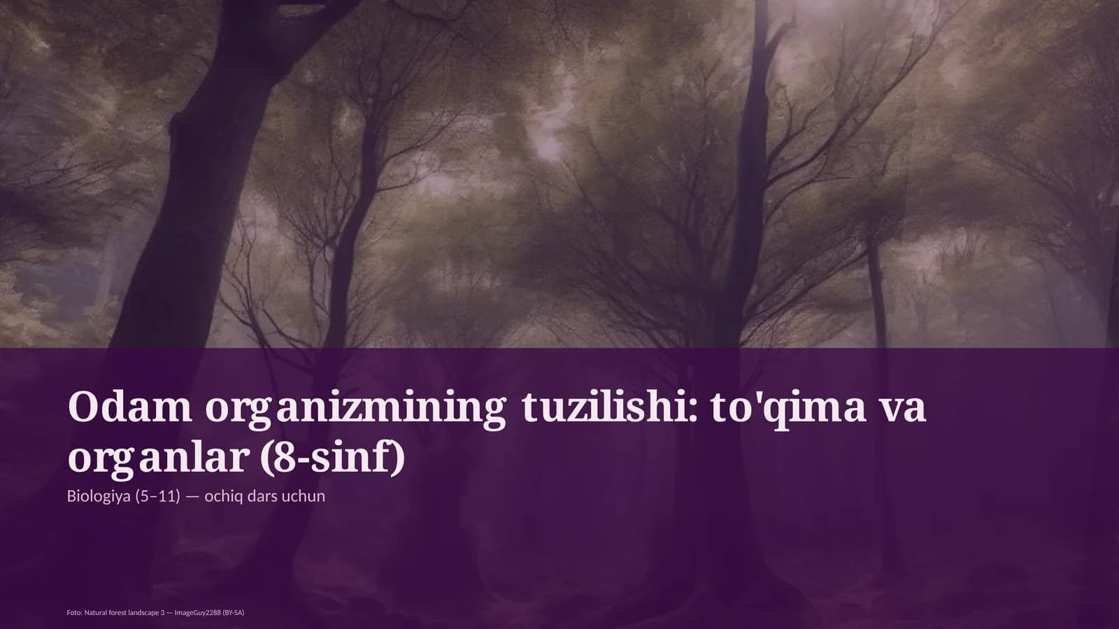 Odam organizmining tuzilishi: to'qima va organlar (8-sinf)