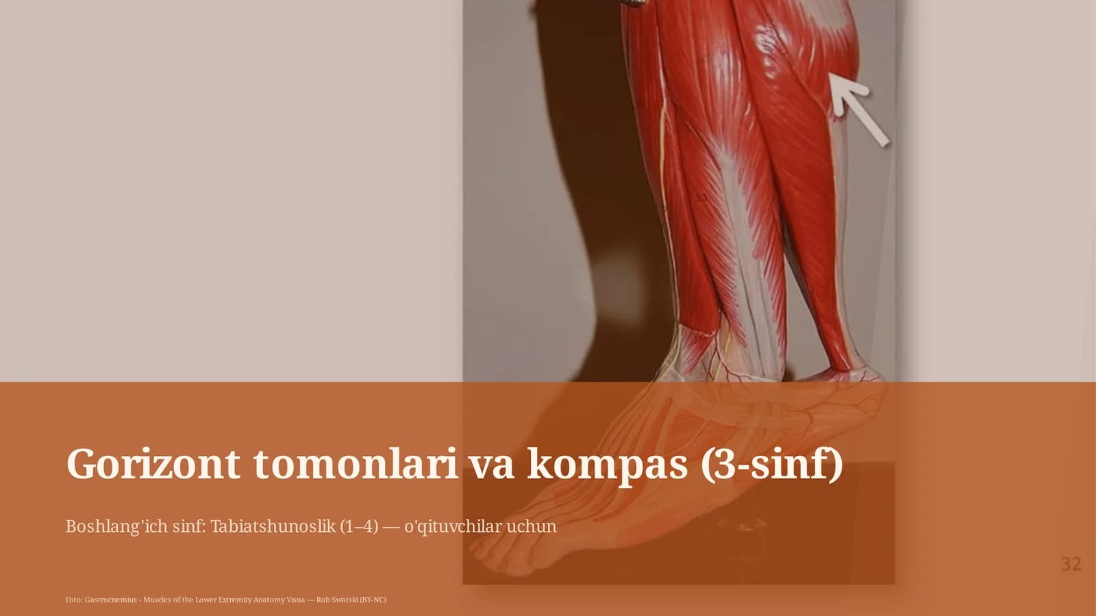 Gorizont tomonlari va kompas (3-sinf)