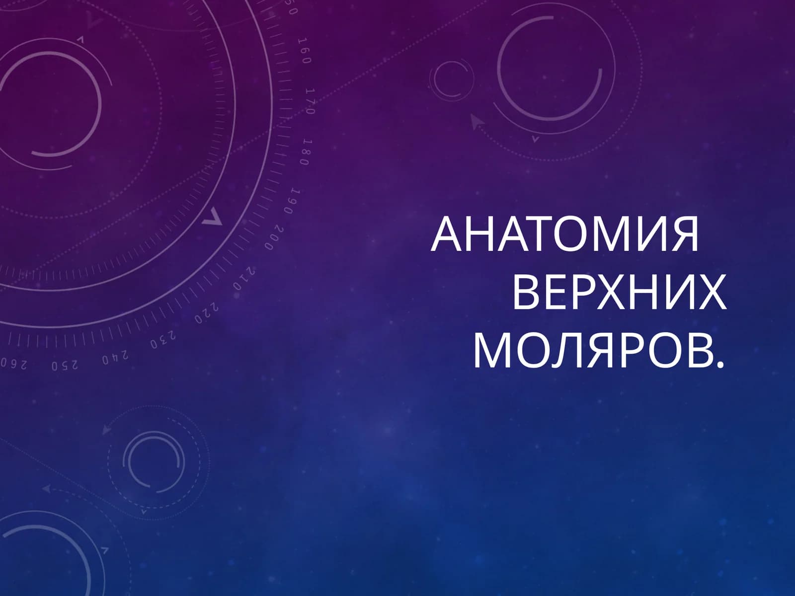 Анатомия верхних моляров