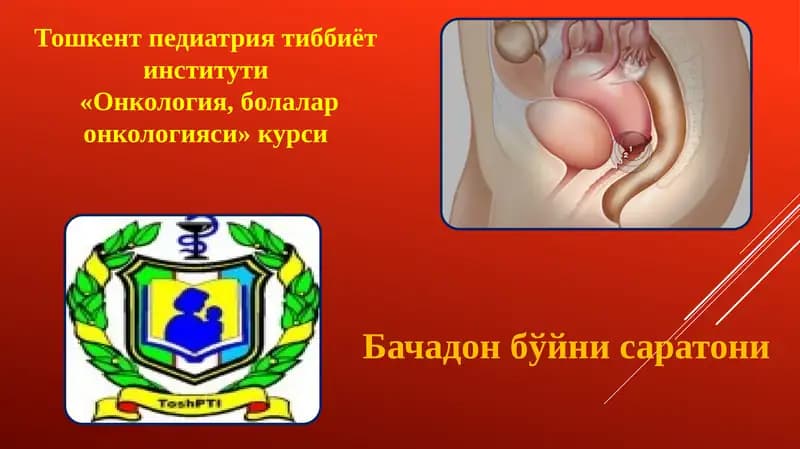 Бачадон бўйнисаратони