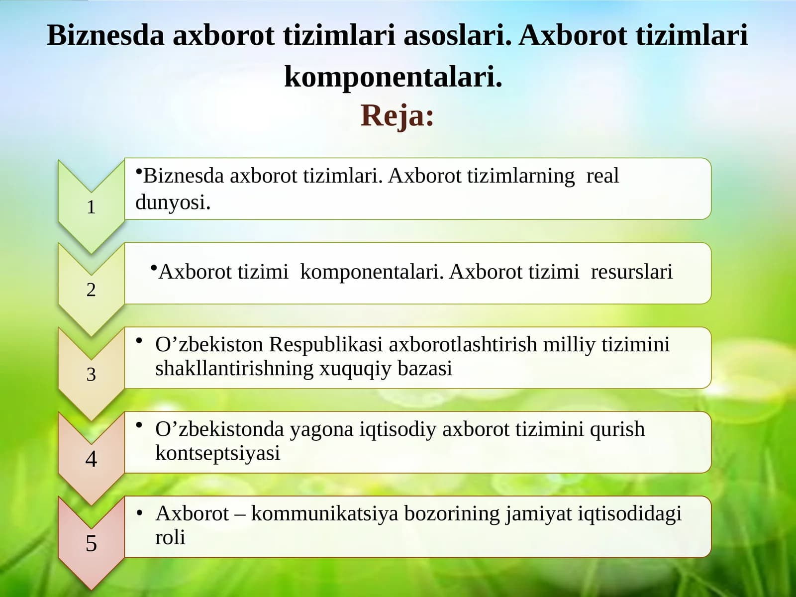 Biznesda axborot tizimlari asoslari. Axborot tizimlari komponentalari