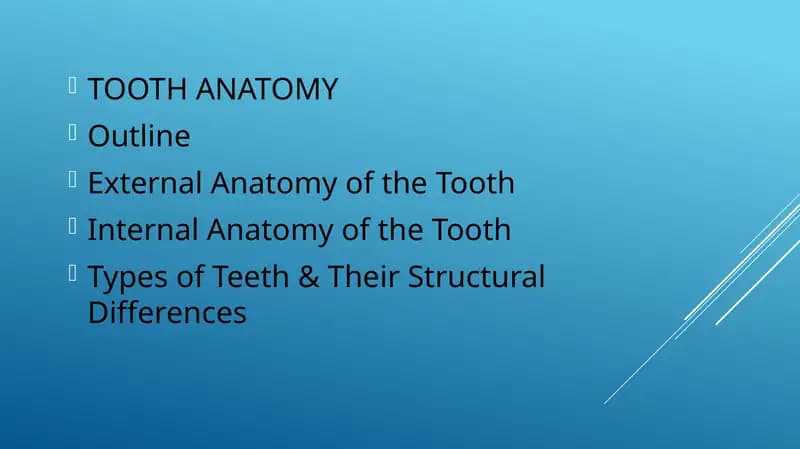 TOOTH ANATOMY