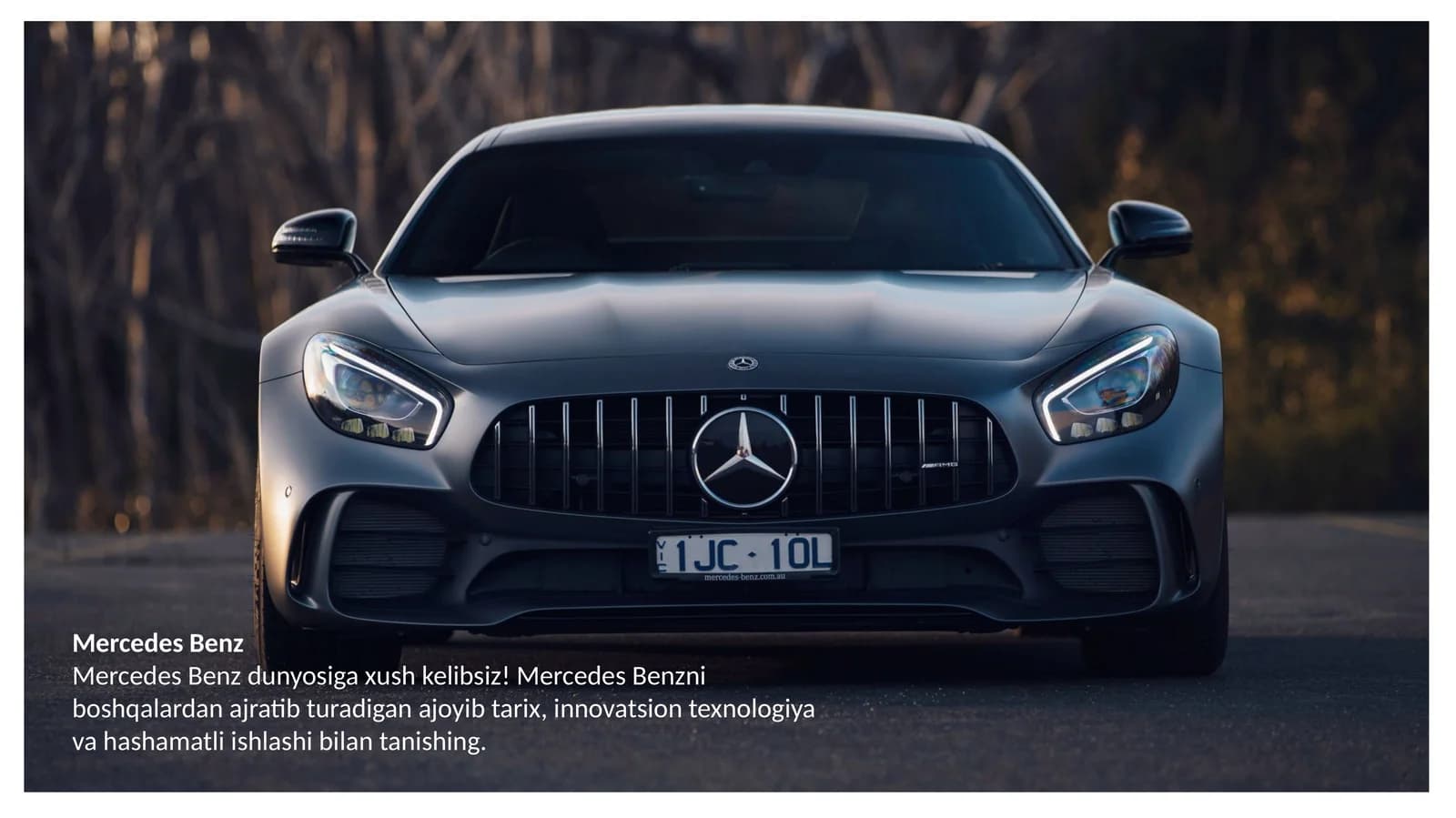 Mersedes Benz