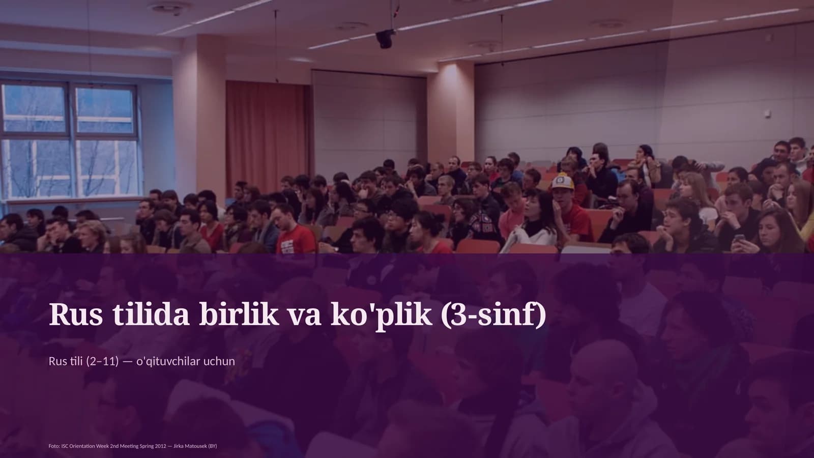 Rus tilida birlik va ko'plik (3-sinf)