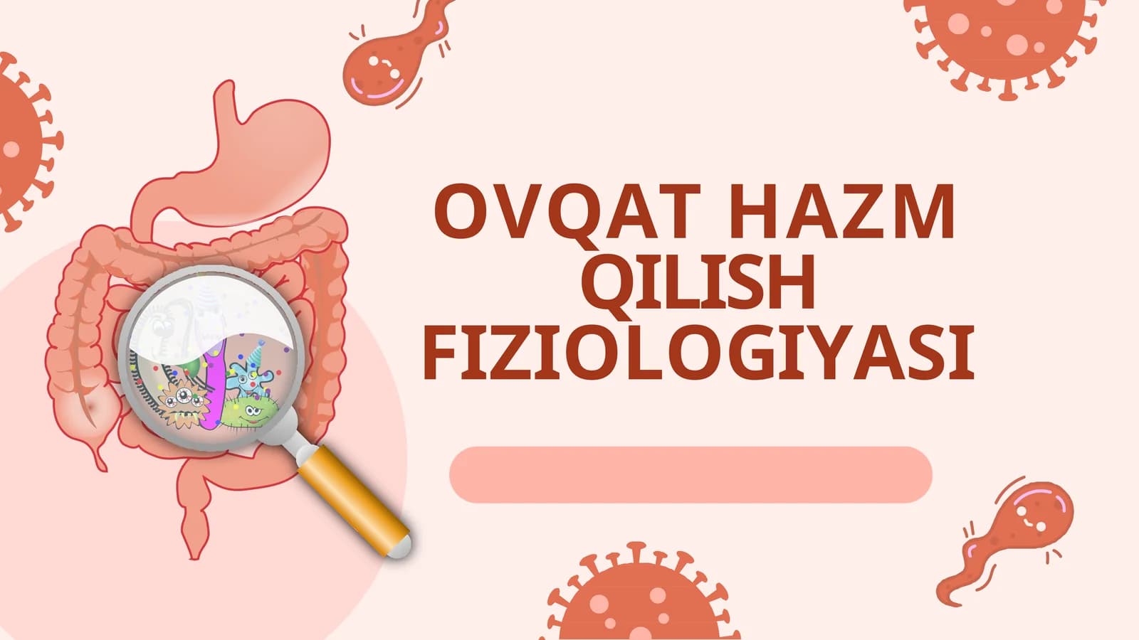 OVQAT HAZM QILISH FIZIOLOGIYASI