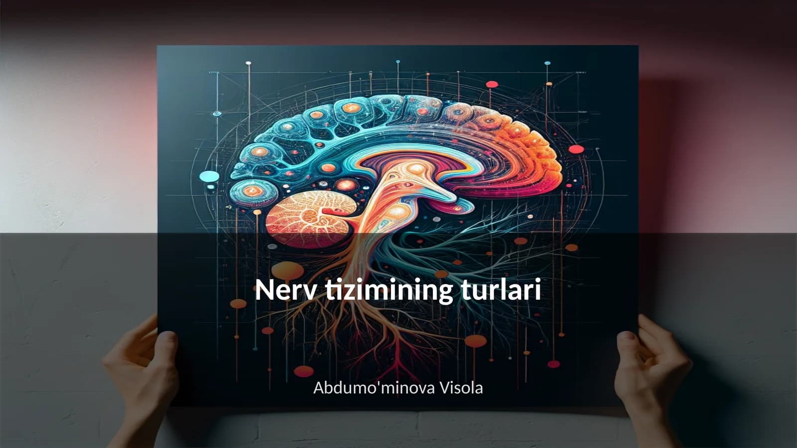 Nerv tizimining turlari