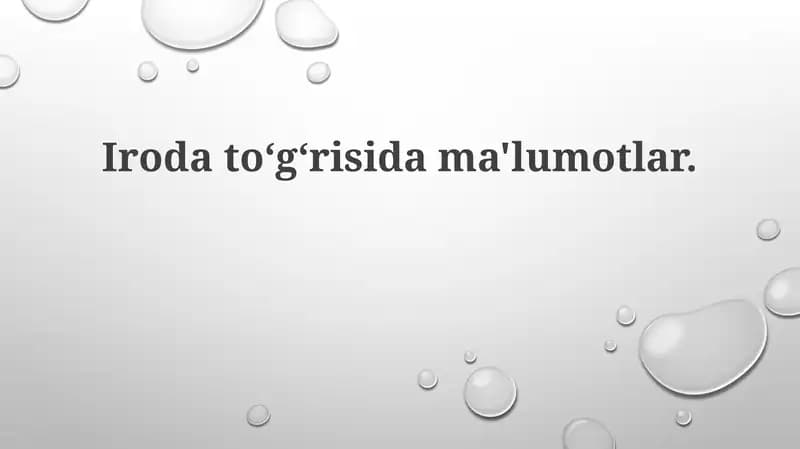 Ofis haqida umumiy ma'lumot