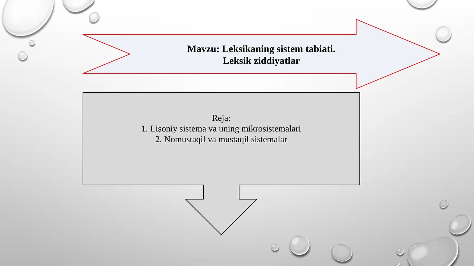 Leksikaning sistem tabiati. Leksik ziddiyatlar