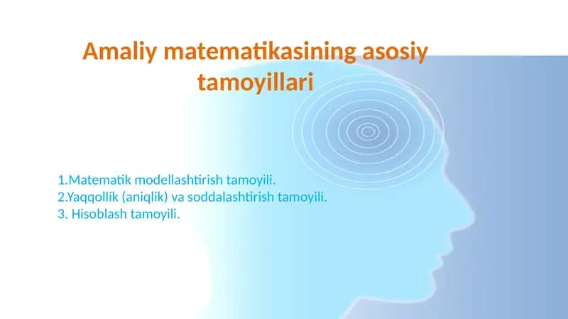 Amaliy matematikasining asosiy tamoyillari