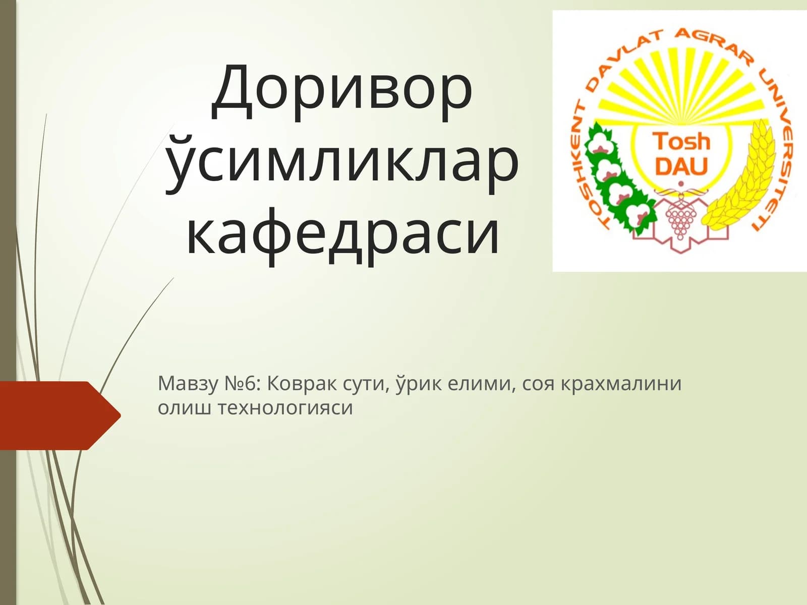 Коврак сути, ўрик елими, соя крахмалини олиш технологияси