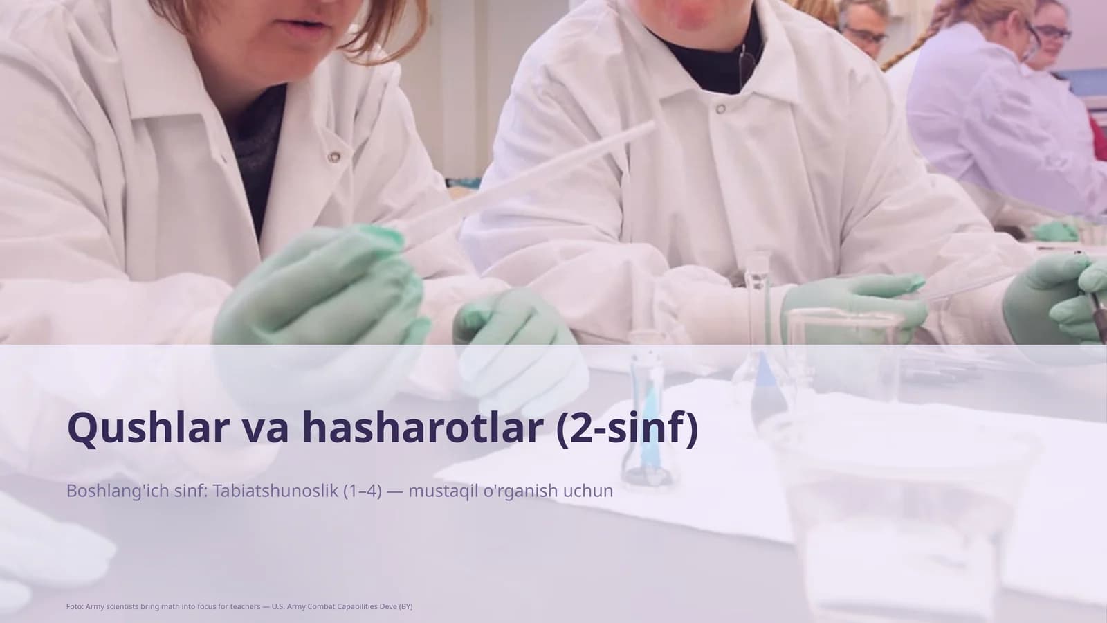 Qushlar va hasharotlar (2-sinf)