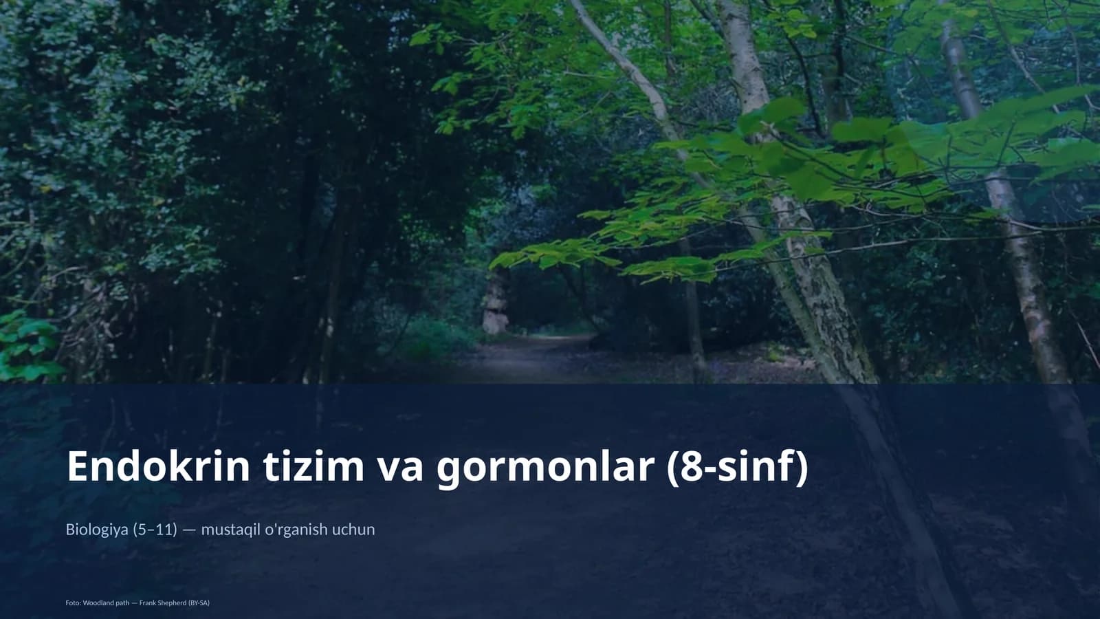 Endokrin tizim va gormonlar (8-sinf)