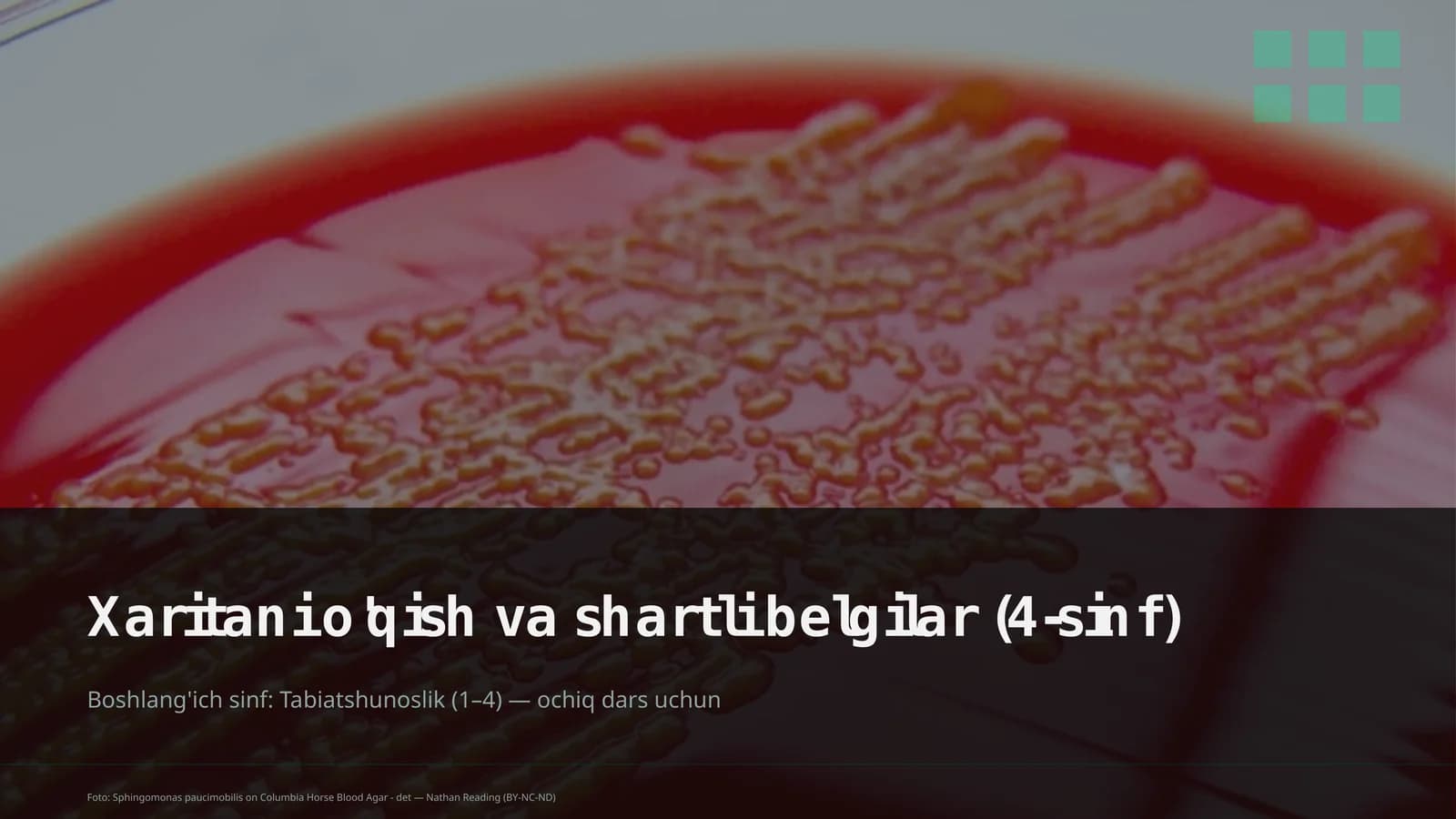Xaritani o'qish va shartli belgilar (4-sinf)