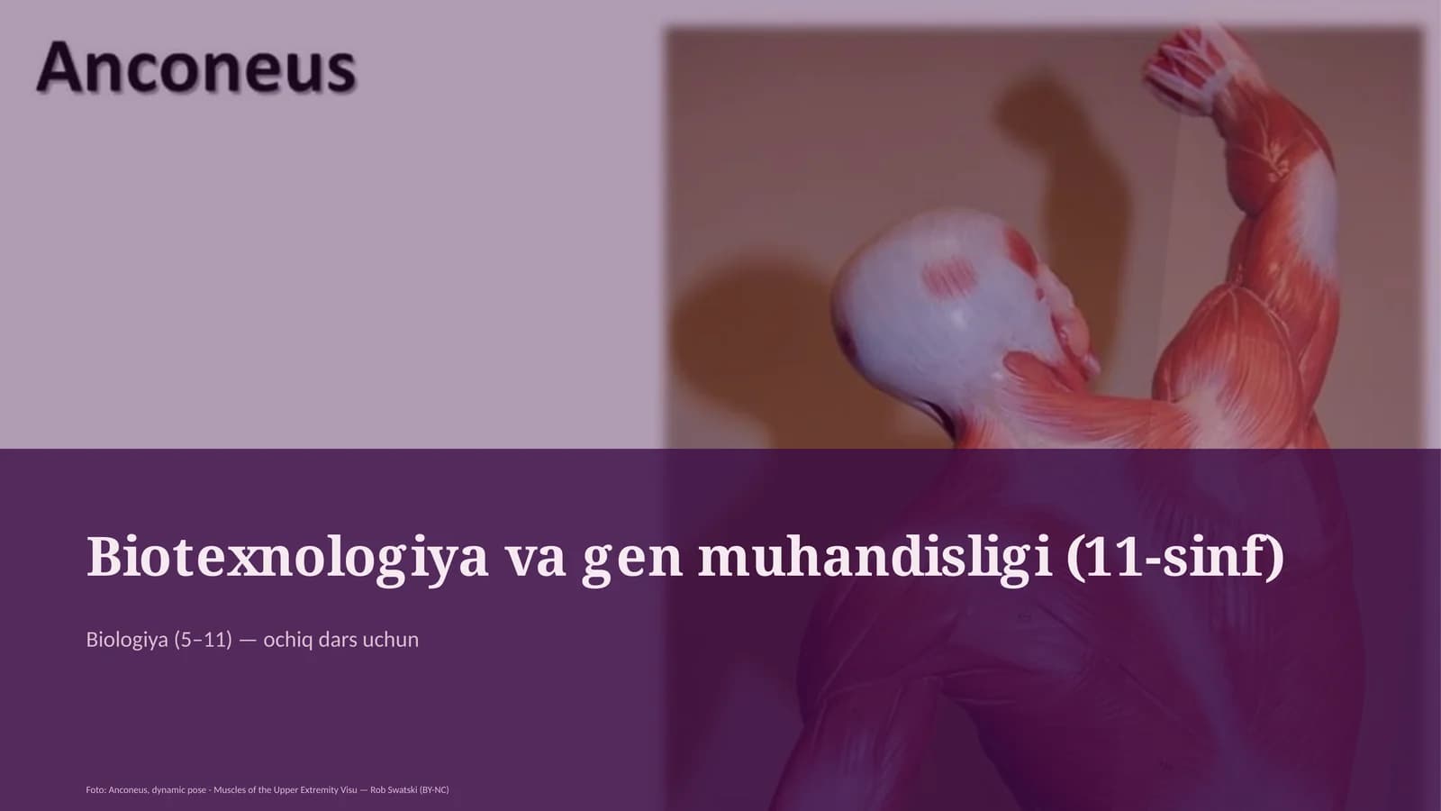 Biotexnologiya va gen muhandisligi (11-sinf)