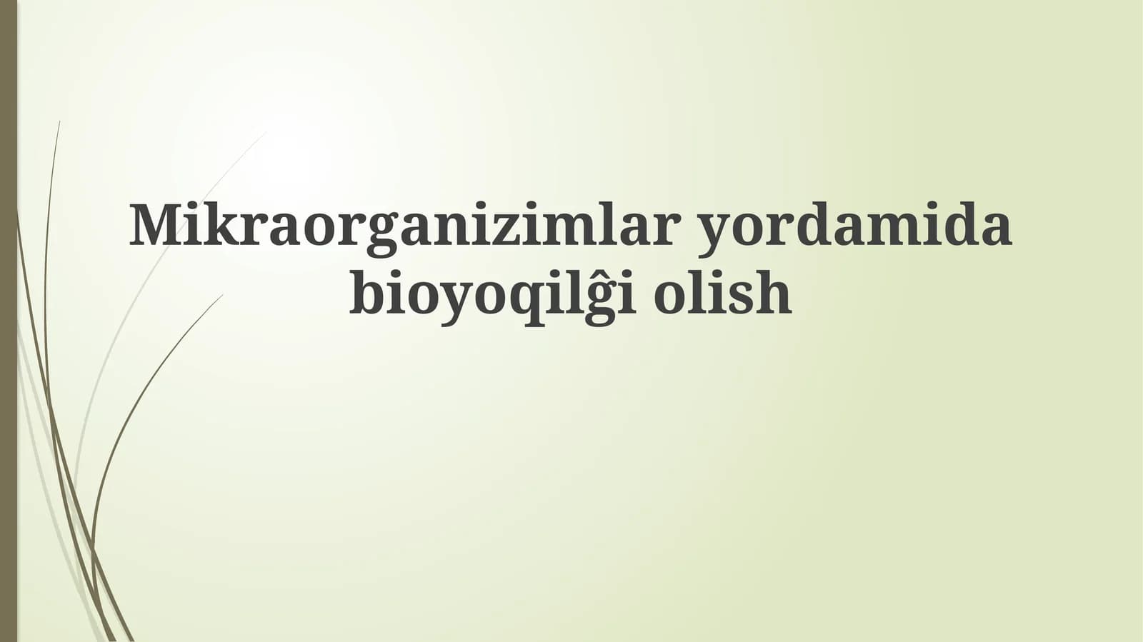 Mikroorganizm yordamida bioyoqilĝi olisĝiolish