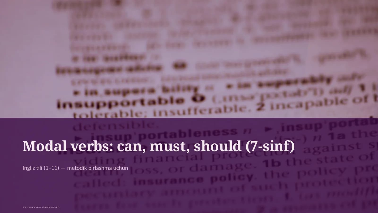 Modal verbs: can, must, should (7-sinf)