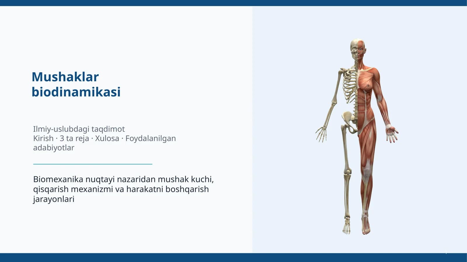 Mushaklar
