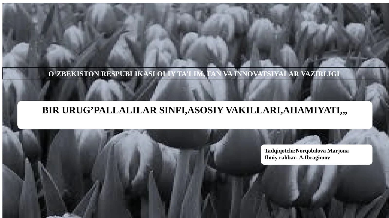 BIR URUG’PALLALILARSINFI,ASOSIYVAKILLARI,AHAMIYATI