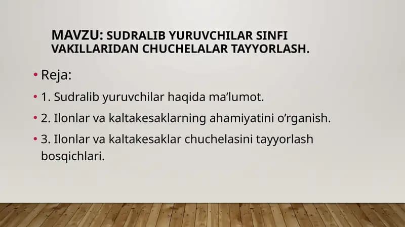 Sudralib yuruvchilar sinfi vakillaridan chuchelalar tayyorlash.