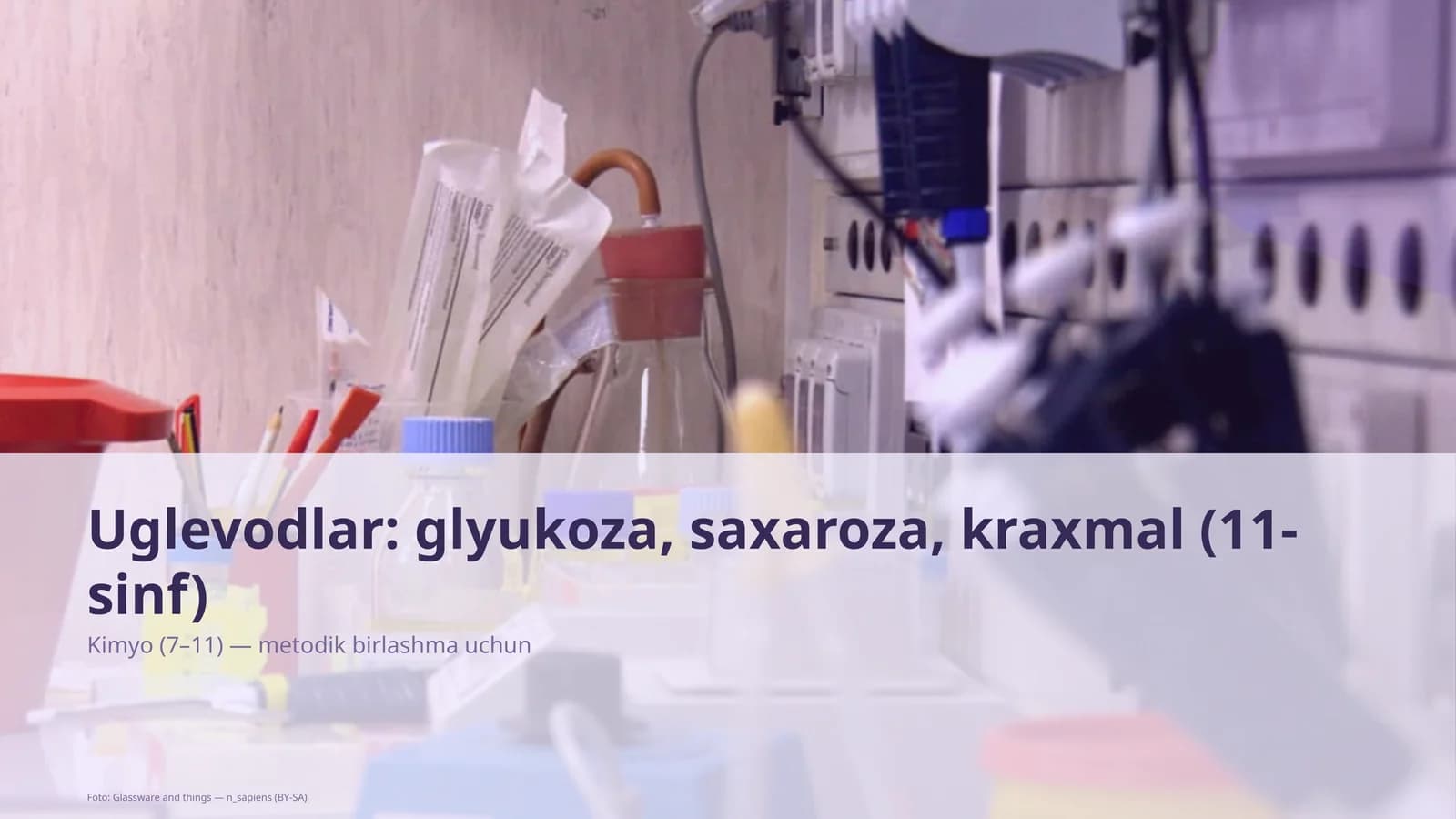 Uglevodlar: glyukoza, saxaroza, kraxmal (11-sinf)