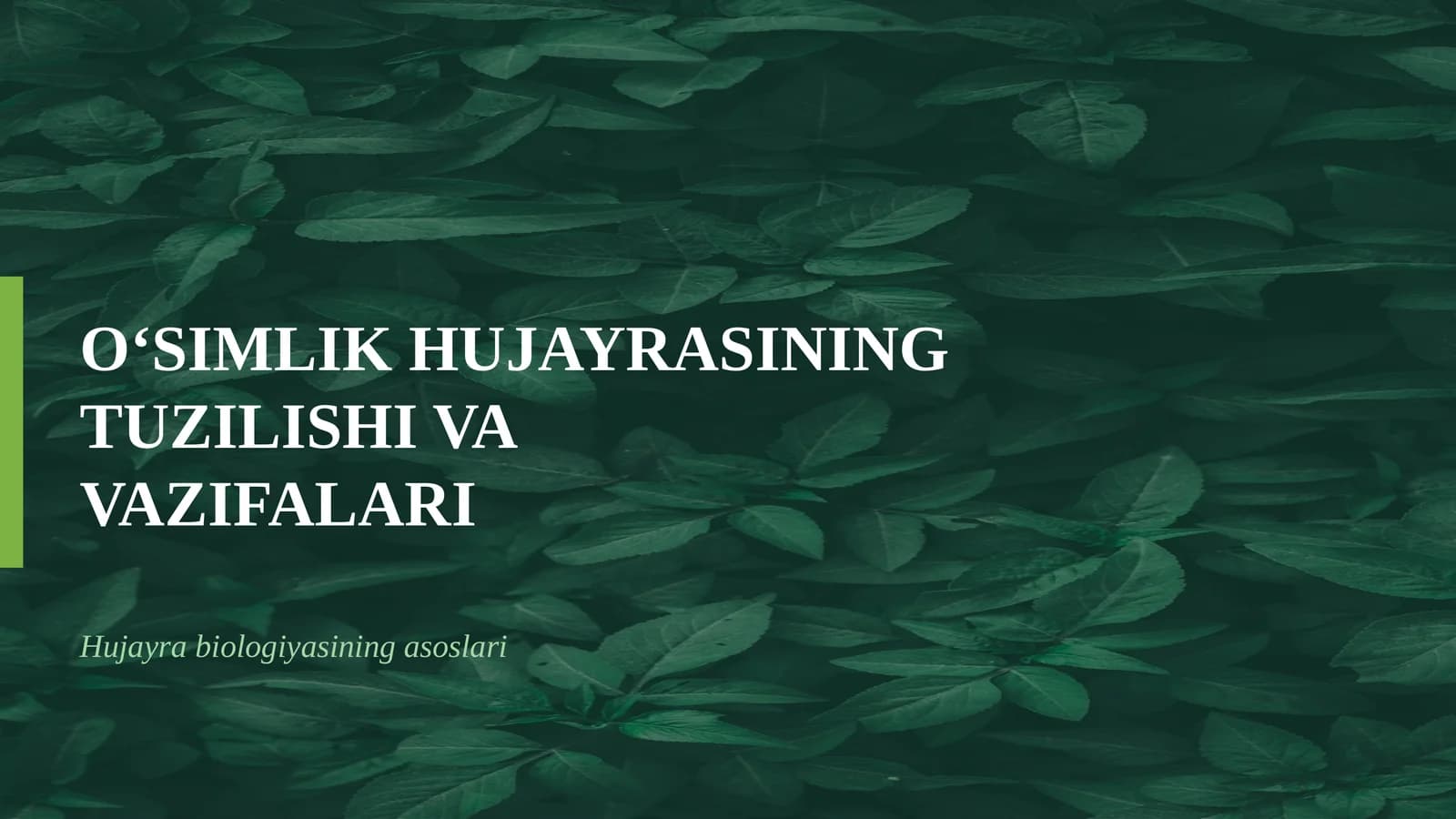 O‘SIMLIK HUJAYRASINING TUZILISHI VA VAZIFALARI