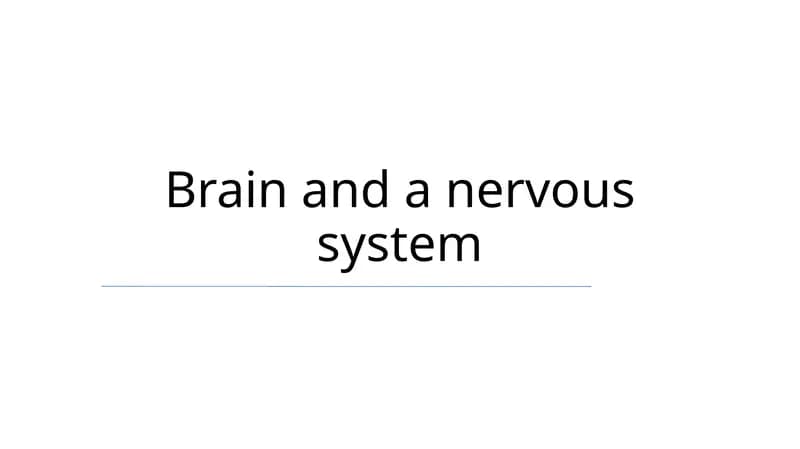 Brain and a nervous system