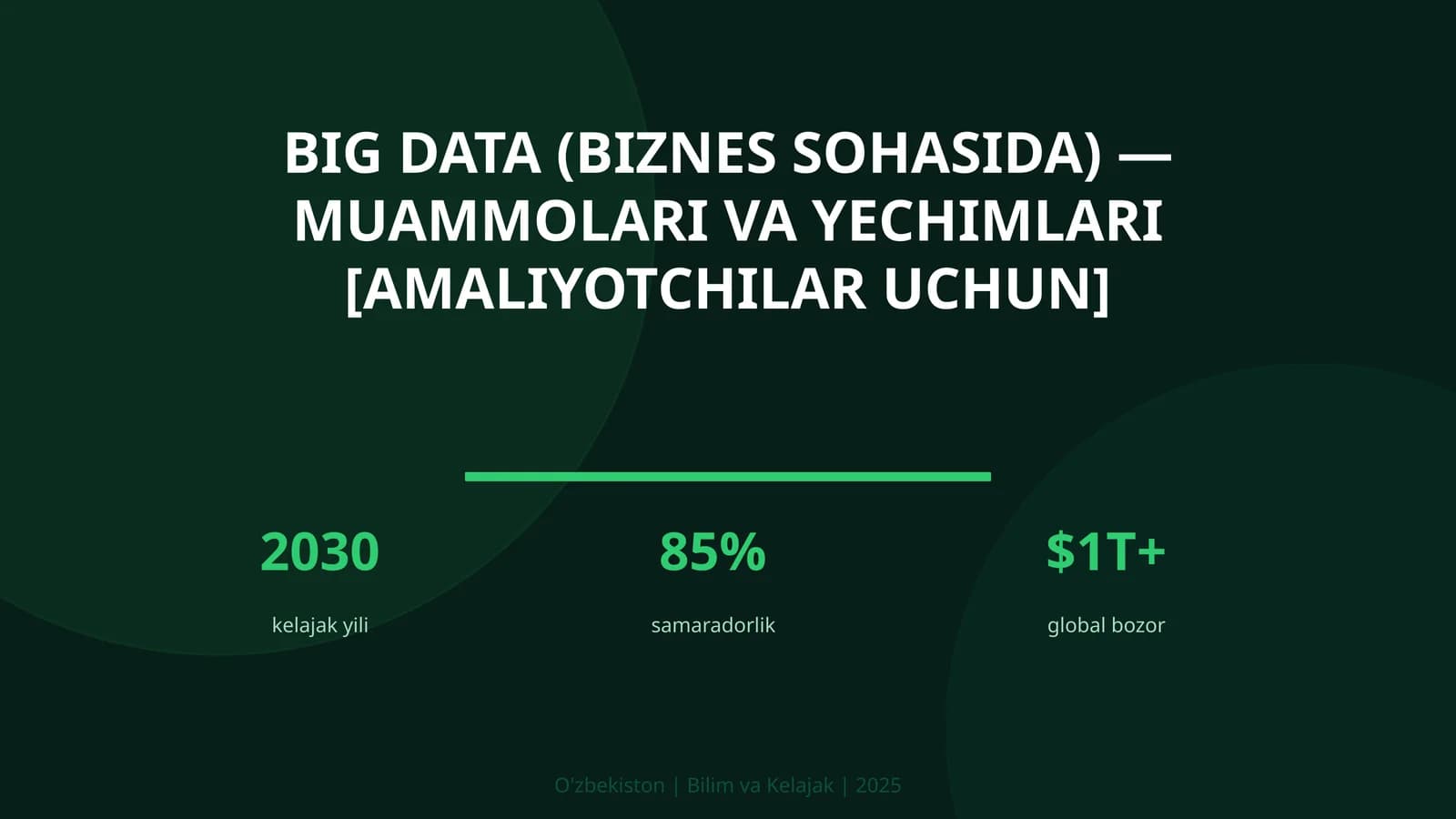 Big Data (Biznes sohasida) - Muammolari va yechimlari [amaliyotchilar uchun]