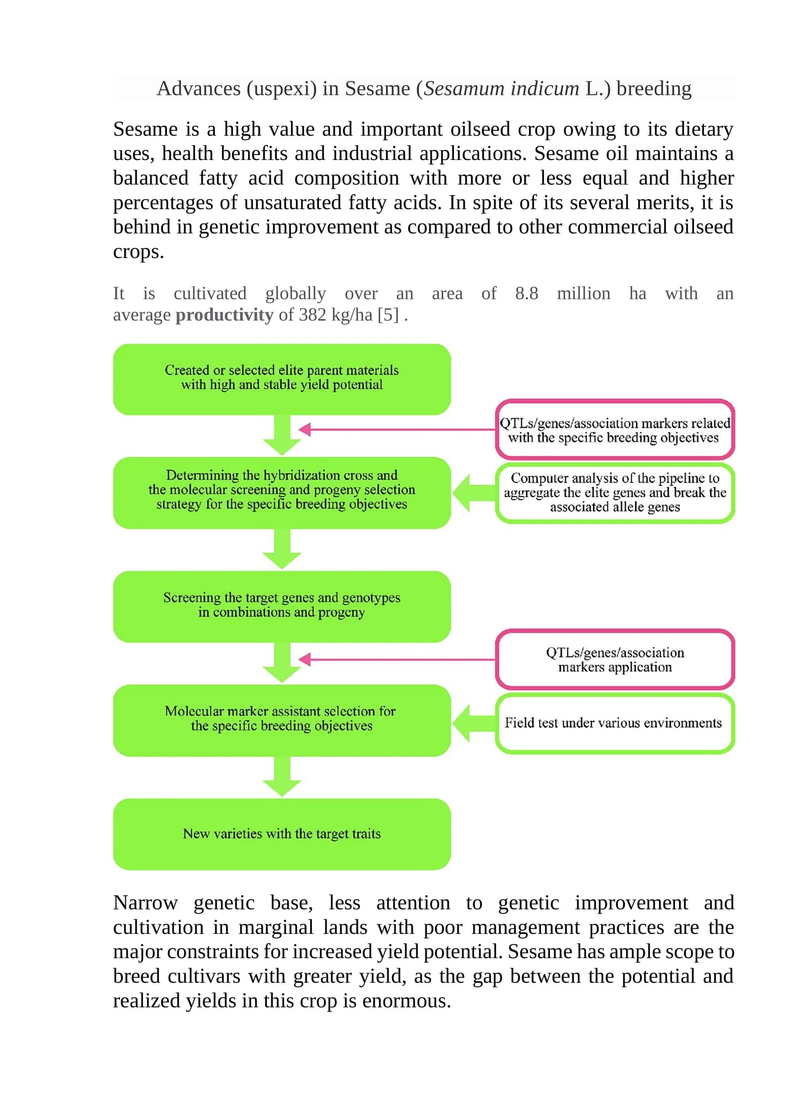 Advances (uspexi) in Sesame (Sesamum indicumL.) breeding