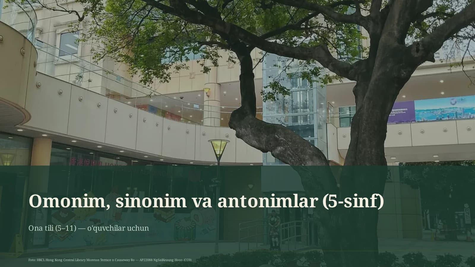 Omonim, sinonim va antonimlar (5-sinf)