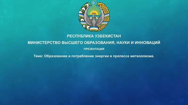 Презентация