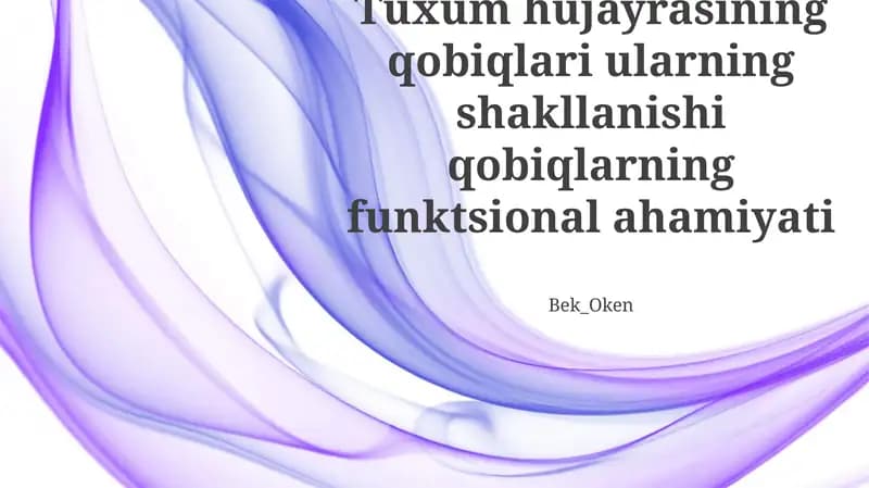Tuxum po'stlog'ining tuzilmalari
