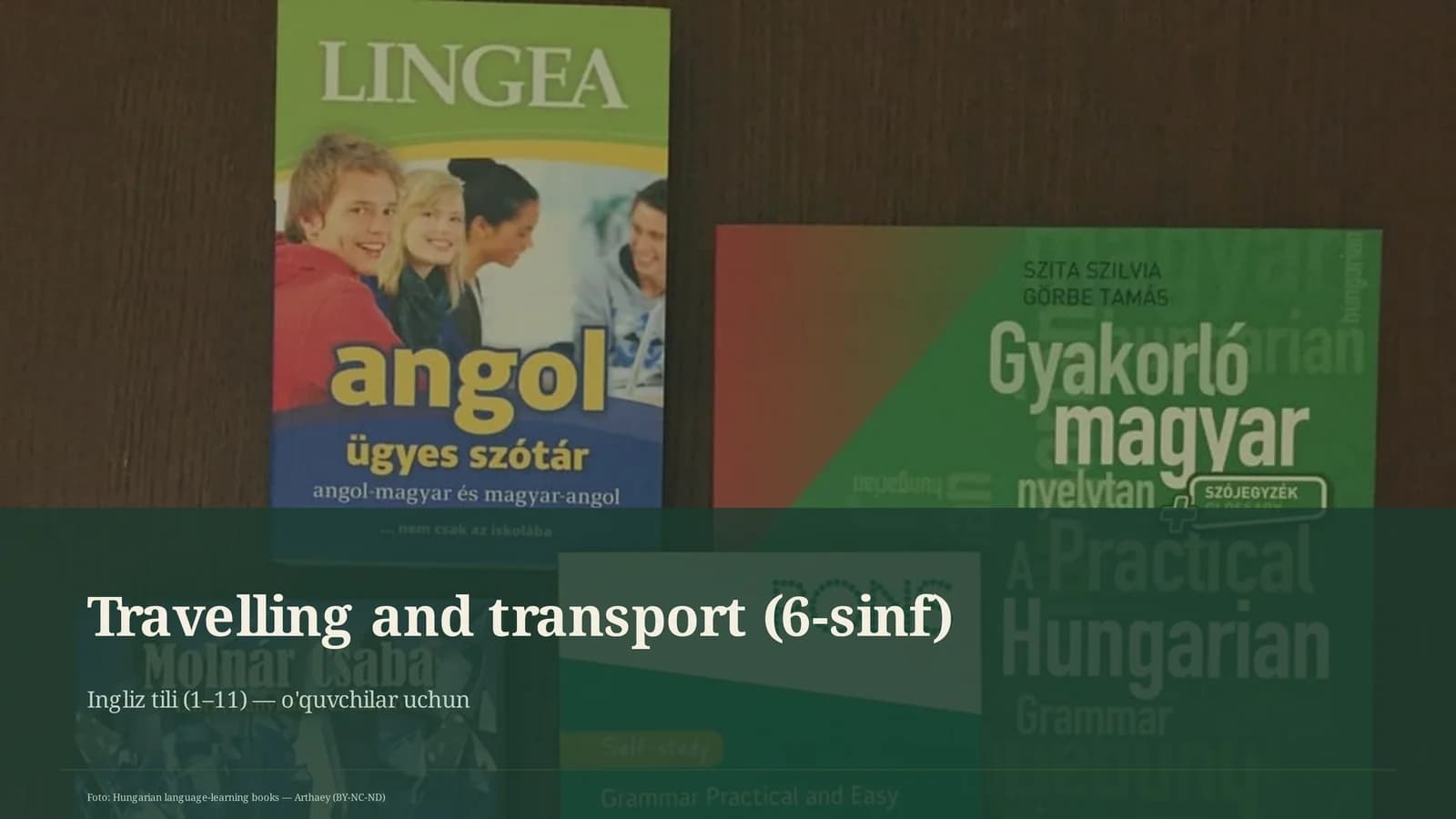 Travelling and transport (6-sinf)