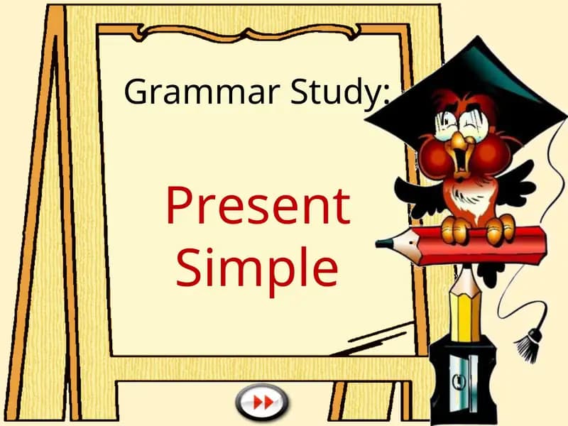 Present Simple Grammar Study