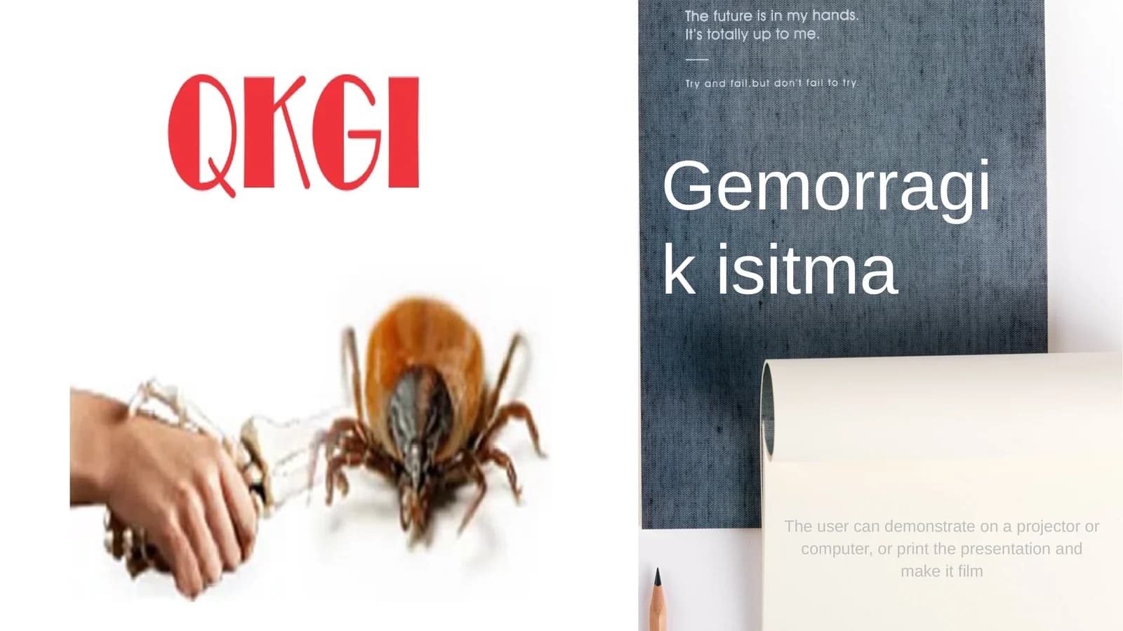 Gemorragik isitma