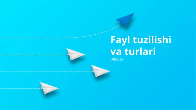 Fayl tuzilishi va turlari
