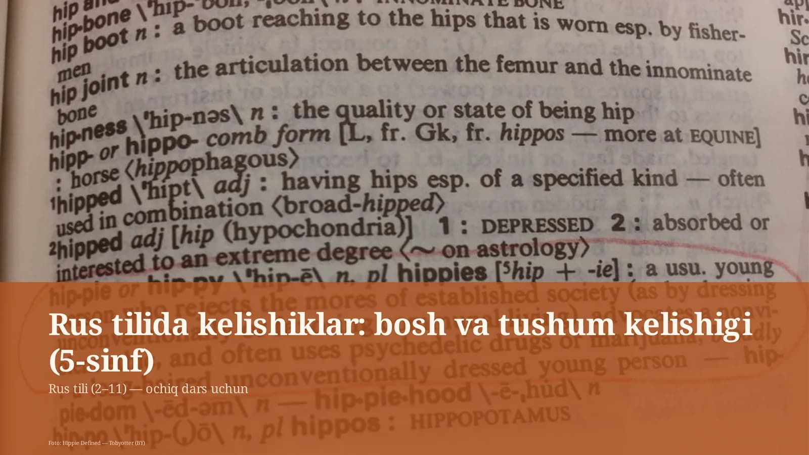 Rus tilida kelishiklar: bosh va tushum kelishigi (5-sinf)