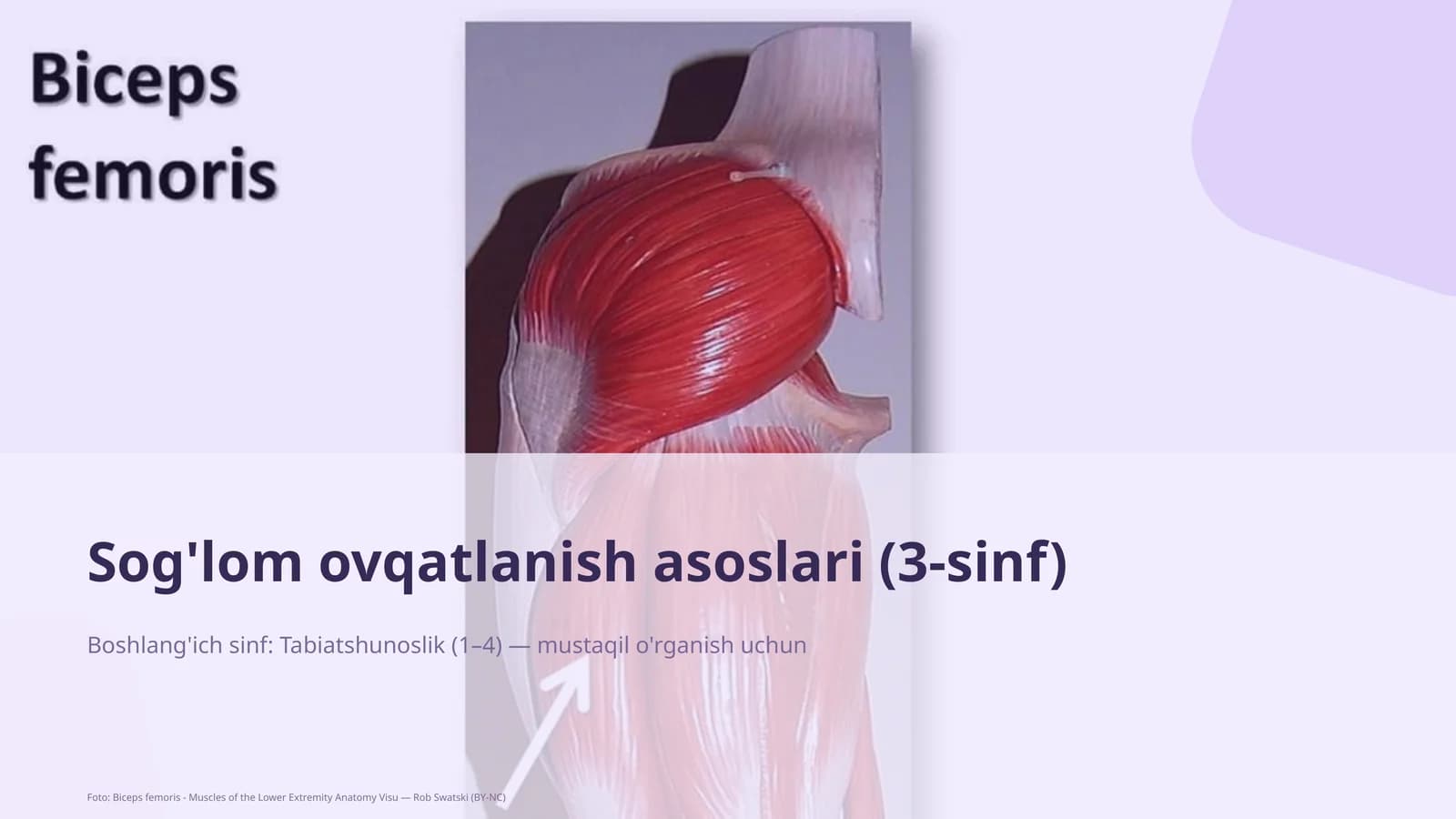 Sog'lom ovqatlanish asoslari (3-sinf)