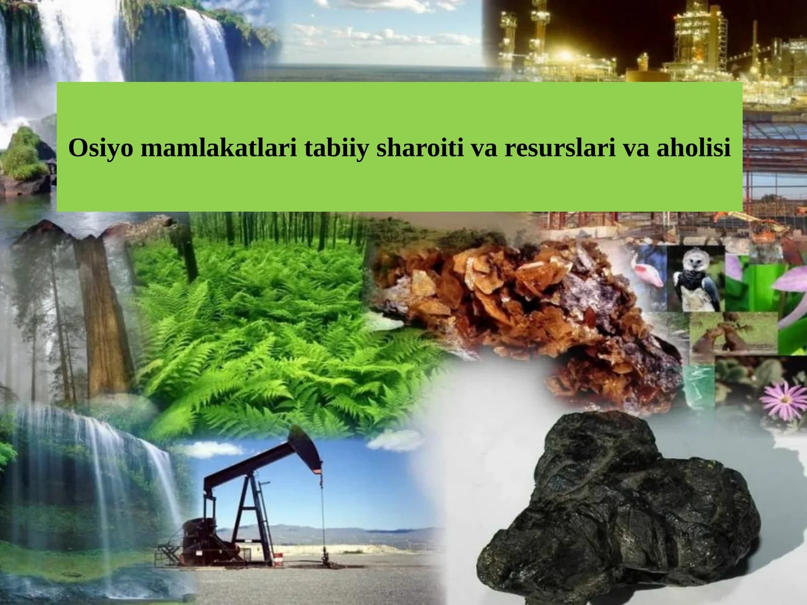 Osiyo mamlakatlari tabiiy sharoiti va resurslari va aholisi