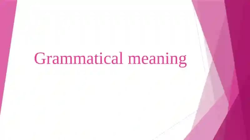 Grammatical meaning