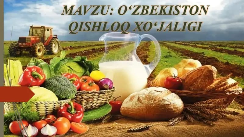 Oʻzbekiston qishloq xoʻjaligi