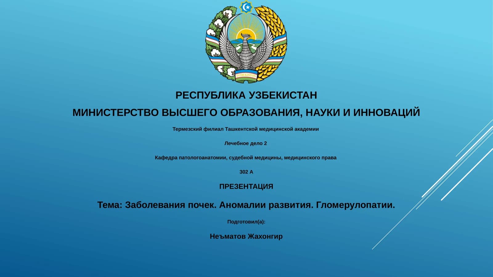 Лечебное дело 2