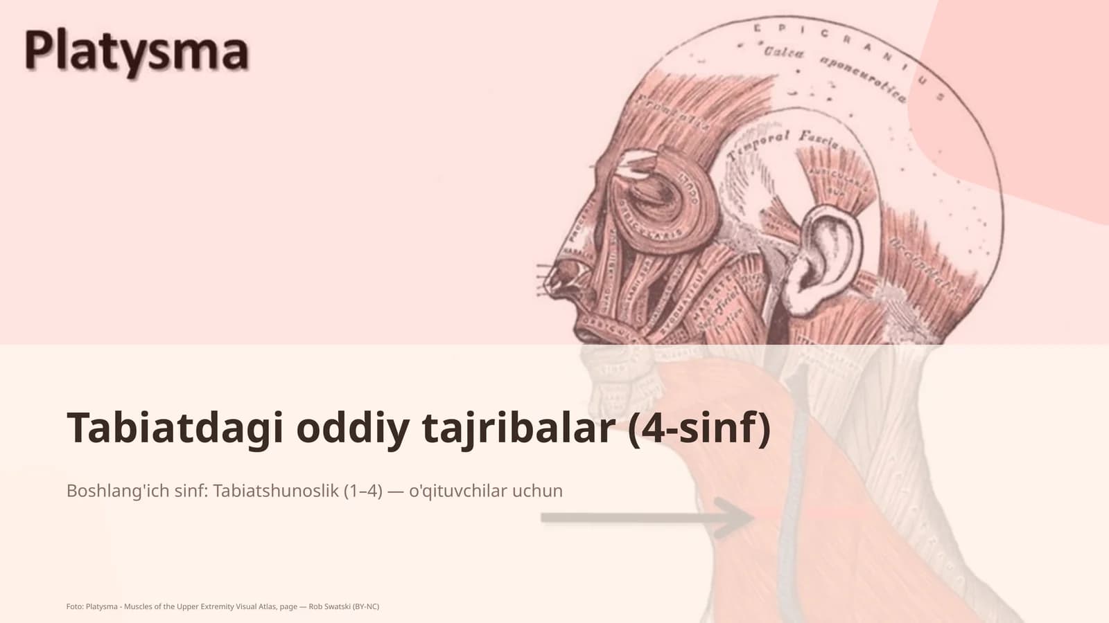 Tabiatdagi oddiy tajribalar (4-sinf)