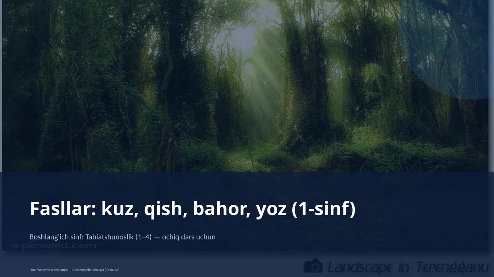 Tabiatshunoslik darsi