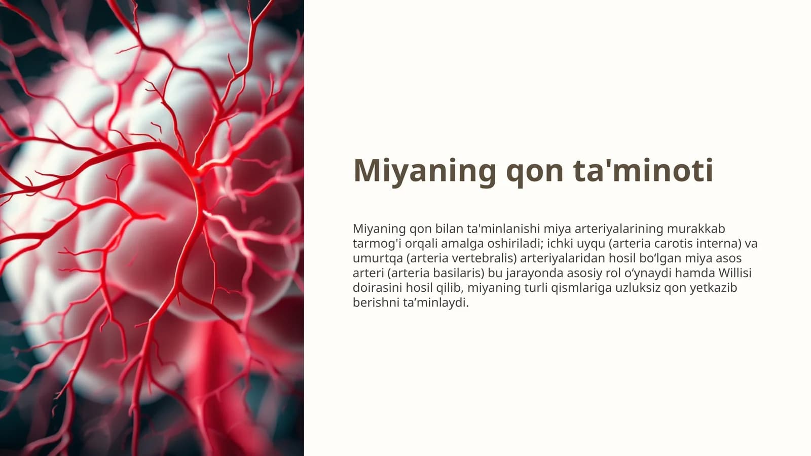 Miyaning qon ta'minoti