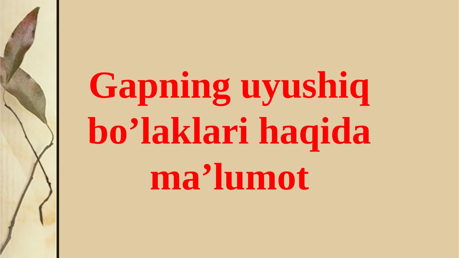 Gapning uyushiq bo’laklari haqida ma’lumot