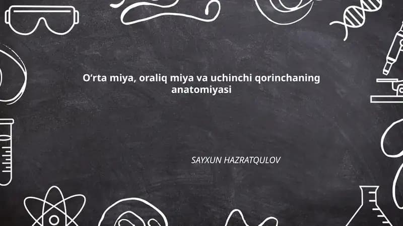 Oʻrta miya, oraliq miya va uchinchi qorinchaning anatomiyasi