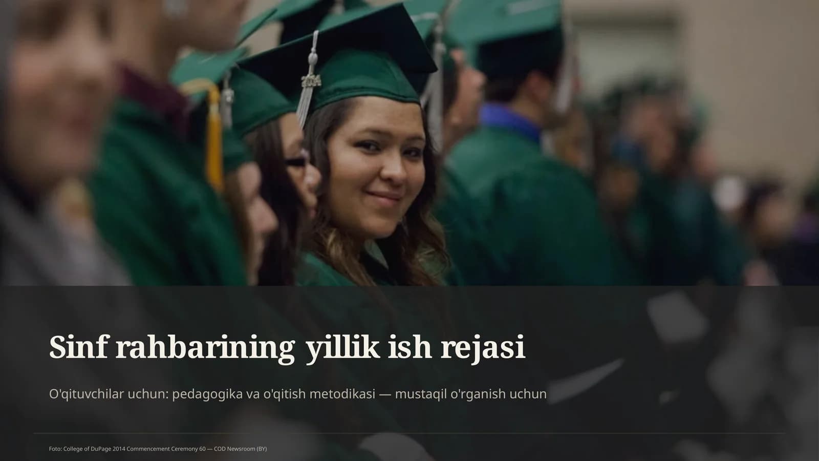 Sinf rahbarining yillik ish rejasi