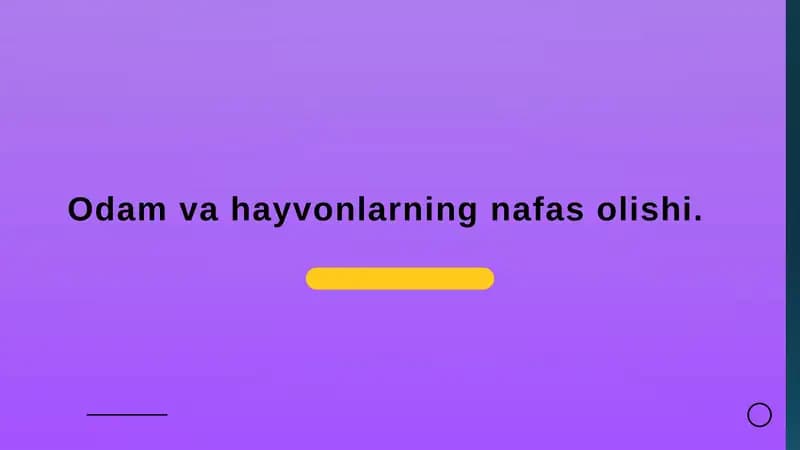 Odamvahayvonlarning nafas olishi