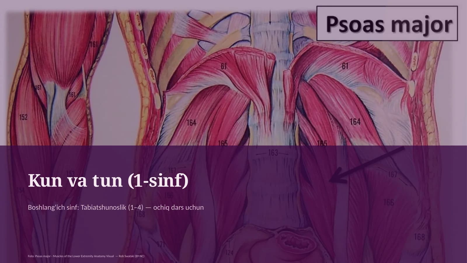 Kun va tun (1-sinf)
